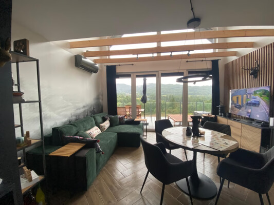 Jasny salon/jadalnia z zieloną sofą i widokiem; konstrukcja szkieletowa, duże przeszklenia.